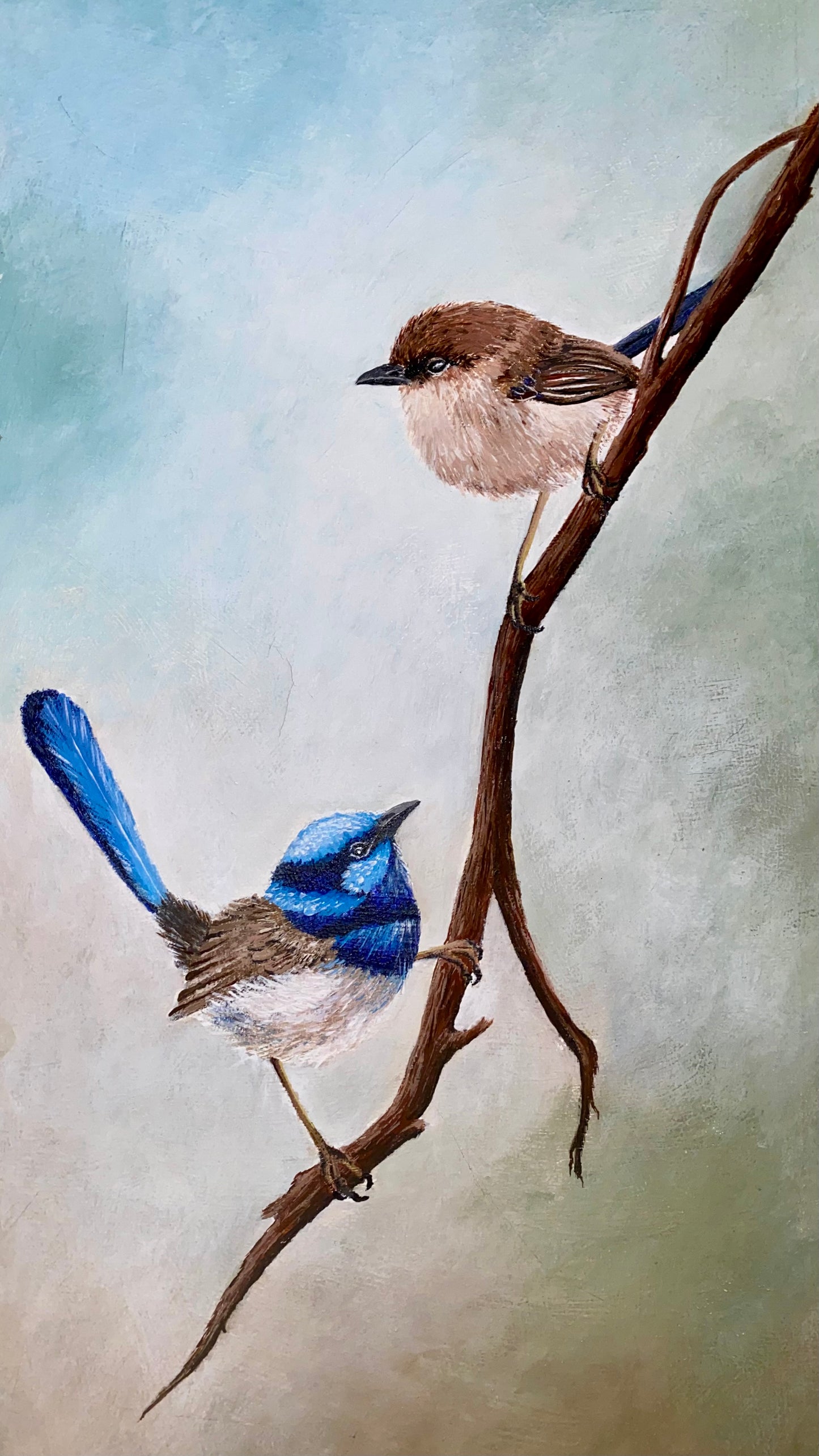 "Wrens on a branch" - Art by Kymlee - Digital Print
